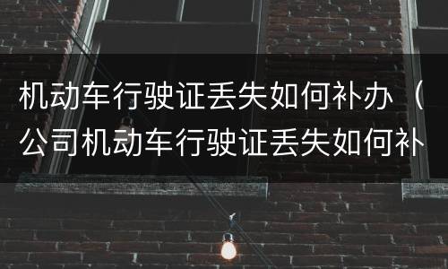 机动车行驶证丢失如何补办（公司机动车行驶证丢失如何补办）