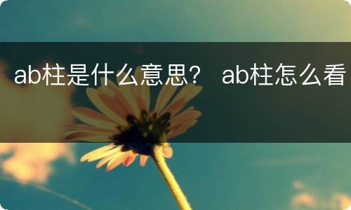 ab柱是什么意思？ ab柱怎么看