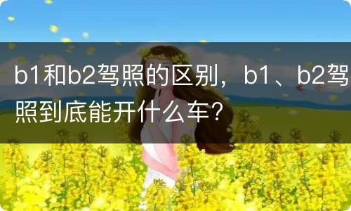 b1和b2驾照的区别，b1、b2驾照到底能开什么车?