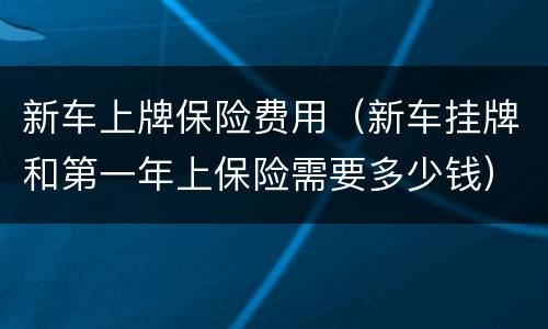 新车上牌保险费用（新车挂牌和第一年上保险需要多少钱）