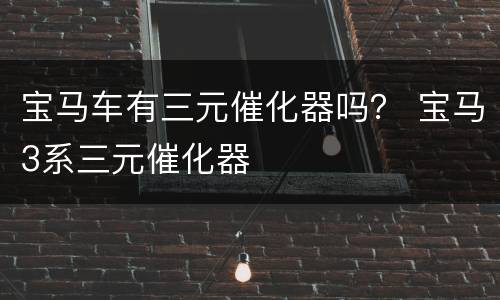 宝马车有三元催化器吗？ 宝马3系三元催化器