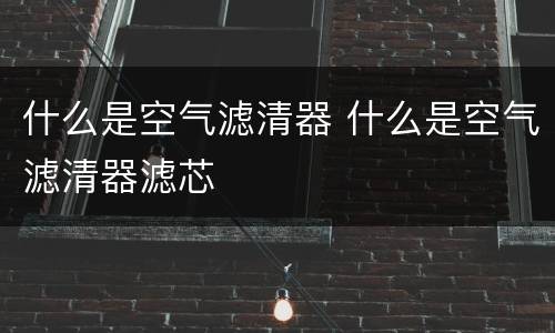 什么是空气滤清器 什么是空气滤清器滤芯