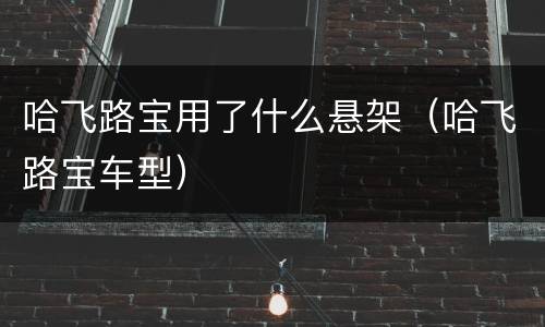 哈飞路宝用了什么悬架（哈飞路宝车型）