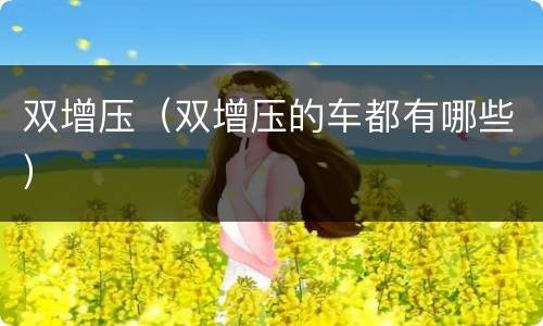 双增压（双增压的车都有哪些）