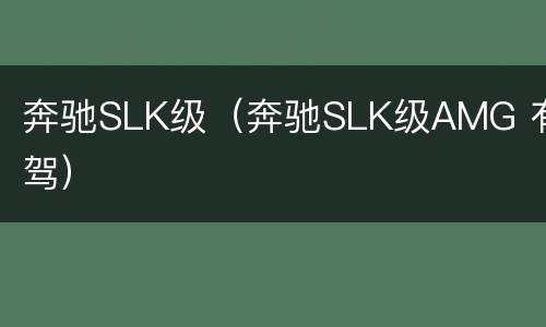 奔驰SLK级（奔驰SLK级AMG 有驾）