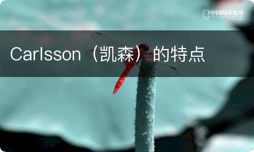 Carlsson（凯森）的特点