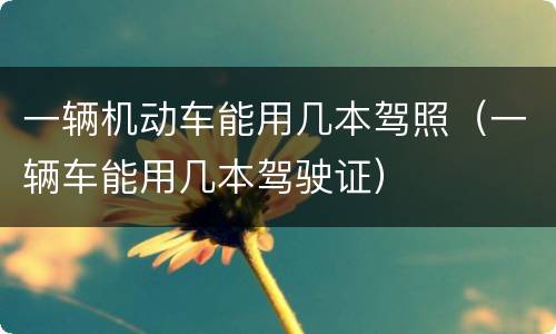 一辆机动车能用几本驾照（一辆车能用几本驾驶证）