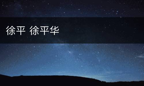 徐平 徐平华