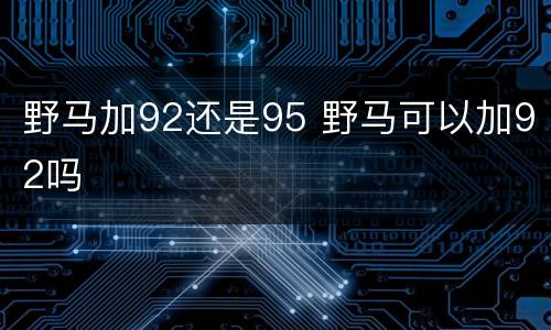 野马加92还是95 野马可以加92吗
