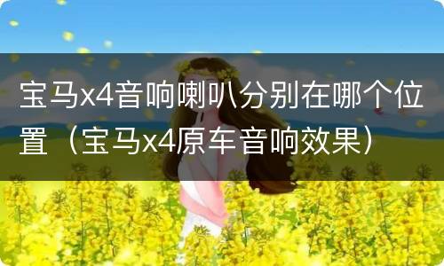 宝马x4音响喇叭分别在哪个位置（宝马x4原车音响效果）