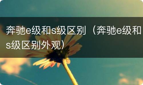 奔驰e级和s级区别（奔驰e级和s级区别外观）