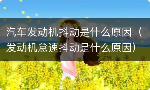 汽车发动机抖动是什么原因（发动机怠速抖动是什么原因）