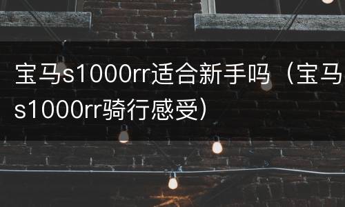 宝马s1000rr适合新手吗（宝马s1000rr骑行感受）