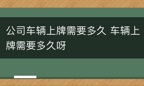 公司车辆上牌需要多久 车辆上牌需要多久呀
