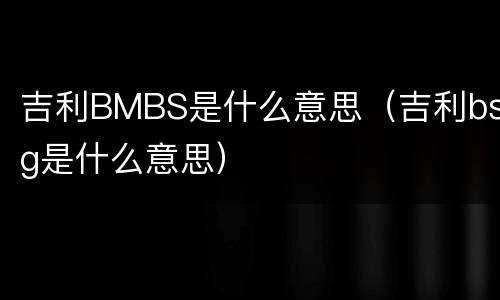 吉利BMBS是什么意思（吉利bsg是什么意思）