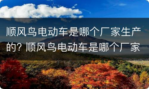 顺风鸟电动车是哪个厂家生产的? 顺风鸟电动车是哪个厂家生产的车