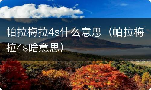 帕拉梅拉4s什么意思（帕拉梅拉4s啥意思）