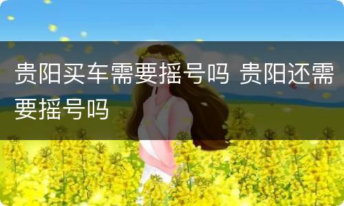 贵阳买车需要摇号吗 贵阳还需要摇号吗