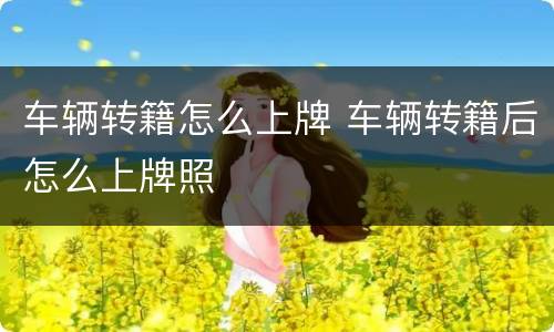 车辆转籍怎么上牌 车辆转籍后怎么上牌照