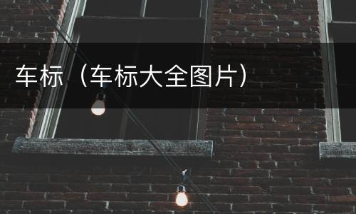 车标（车标大全图片）