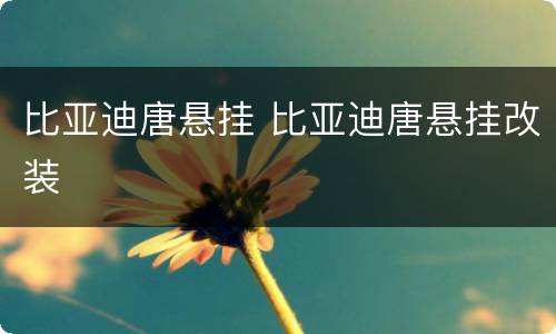 比亚迪唐悬挂 比亚迪唐悬挂改装