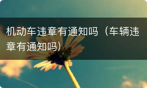 机动车违章有通知吗（车辆违章有通知吗）