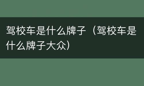 驾校车是什么牌子（驾校车是什么牌子大众）