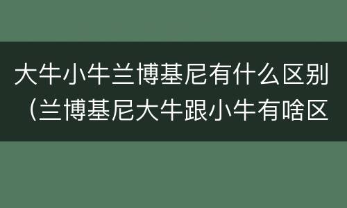 大牛小牛兰博基尼有什么区别（兰博基尼大牛跟小牛有啥区别）