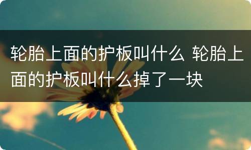 轮胎上面的护板叫什么 轮胎上面的护板叫什么掉了一块