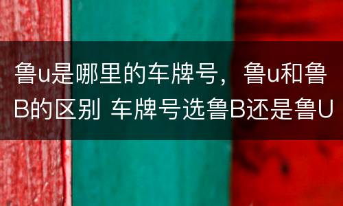 鲁u是哪里的车牌号，鲁u和鲁B的区别 车牌号选鲁B还是鲁U