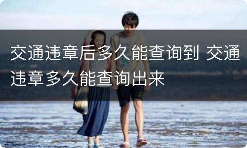 交通违章后多久能查询到 交通违章多久能查询出来