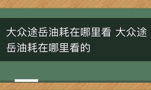 大众途岳油耗在哪里看 大众途岳油耗在哪里看的