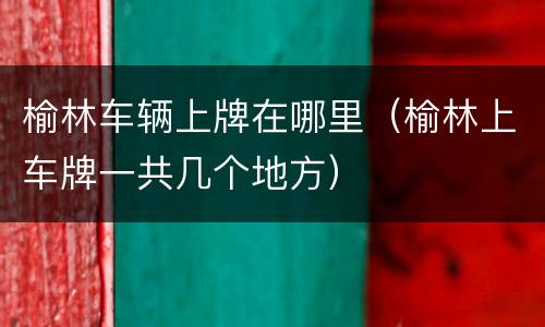 榆林车辆上牌在哪里（榆林上车牌一共几个地方）