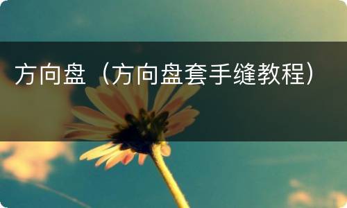 方向盘（方向盘套手缝教程）