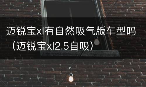 迈锐宝xl有自然吸气版车型吗（迈锐宝xl2.5自吸）