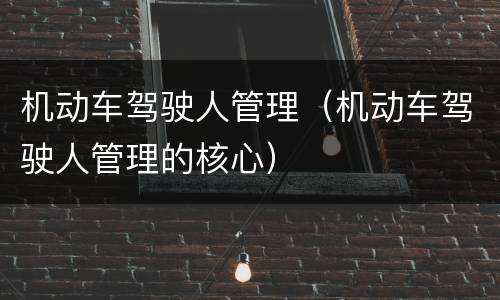 机动车驾驶人管理（机动车驾驶人管理的核心）