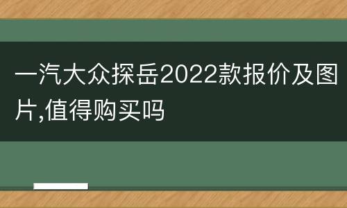 一汽大众探岳2022款报价及图片,值得购买吗