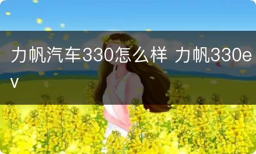 力帆汽车330怎么样 力帆330ev