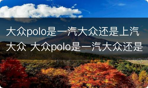 大众polo是一汽大众还是上汽大众 大众polo是一汽大众还是上汽大众的车