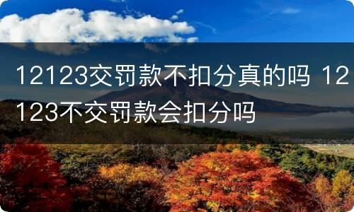 12123交罚款不扣分真的吗 12123不交罚款会扣分吗