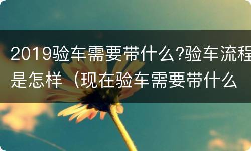 2019验车需要带什么?验车流程是怎样（现在验车需要带什么手续）