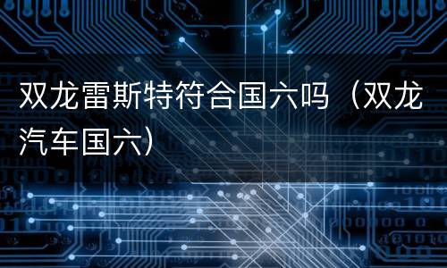 双龙雷斯特符合国六吗（双龙汽车国六）
