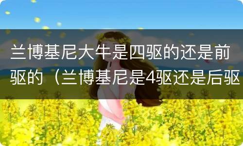 兰博基尼大牛是四驱的还是前驱的（兰博基尼是4驱还是后驱）