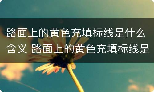 路面上的黄色充填标线是什么含义 路面上的黄色充填标线是什么含义图片