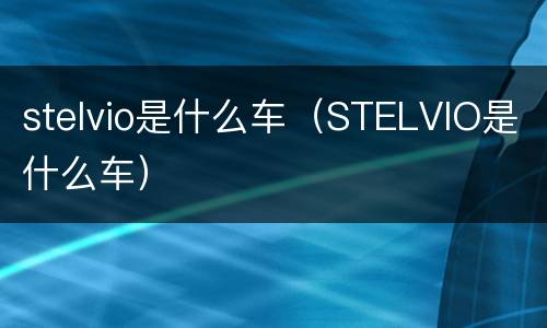 stelvio是什么车（STELVIO是什么车）