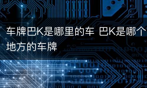 车牌巴K是哪里的车 巴K是哪个地方的车牌