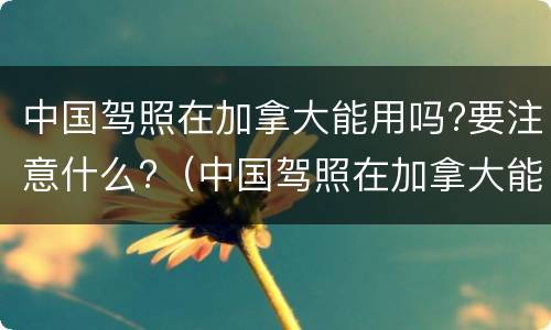 中国驾照在加拿大能用吗?要注意什么?（中国驾照在加拿大能用吗?要注意什么事项）