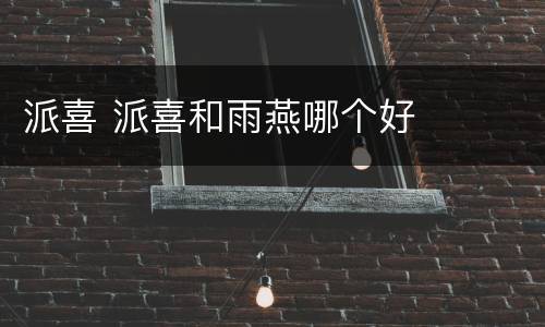 派喜 派喜和雨燕哪个好