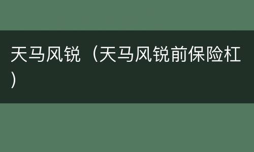 天马风锐（天马风锐前保险杠）