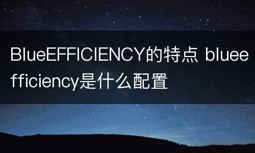 BlueEFFICIENCY的特点 blueefficiency是什么配置